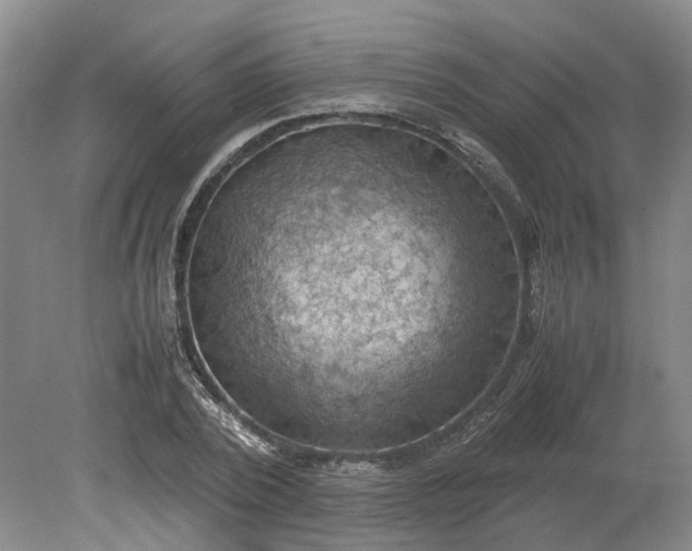 X0000079280784200612011657