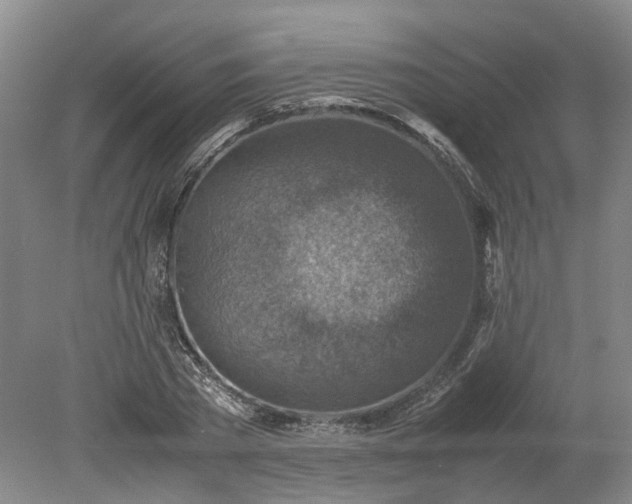 X0000079280785200612011657