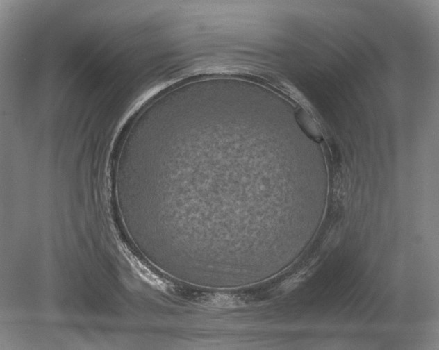 X0000079280787200612011657