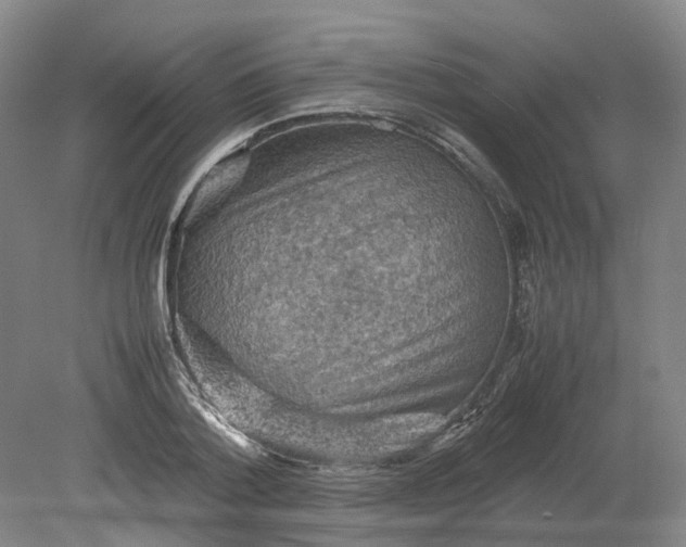 X0000079280788200612011657