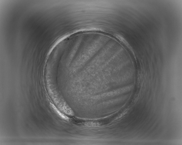 X0000079280789200612011657