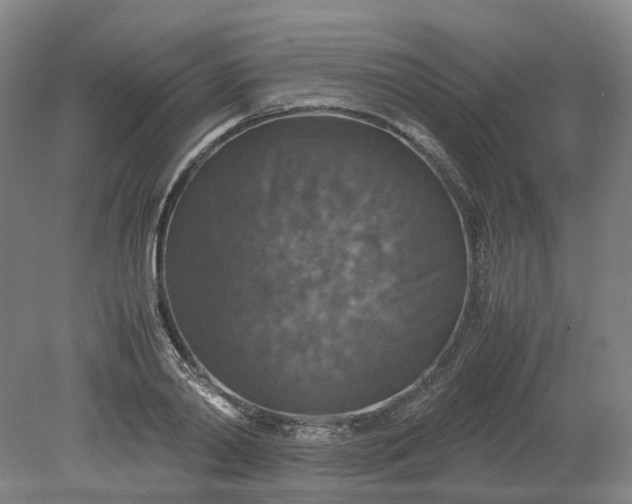 X0000079280790200612011657