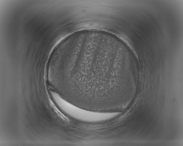 X0000079280791200612011657