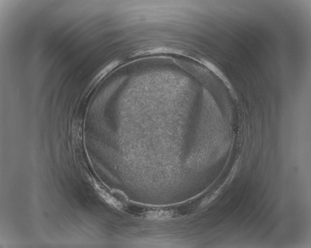 X0000079280793200612011657