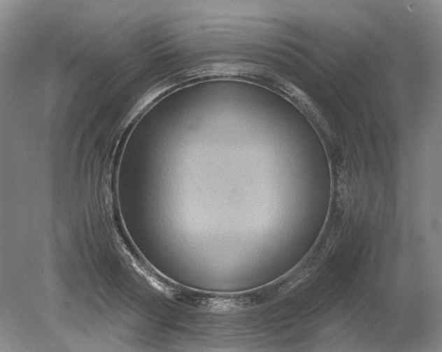 X0000079280794200612011657