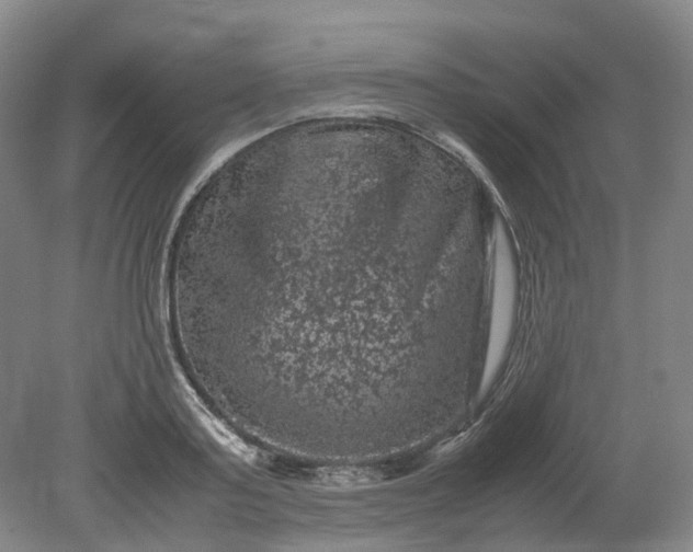 X0000079280795200612011657