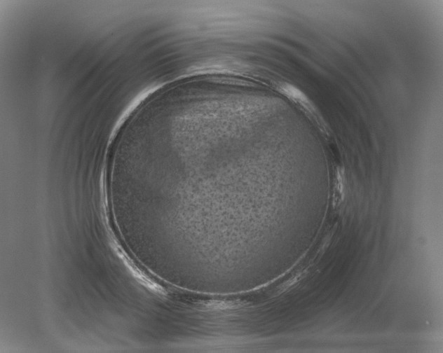 X0000079280796200612011657