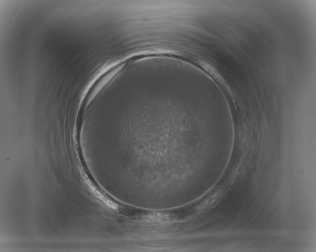 X0000079280797200612011657