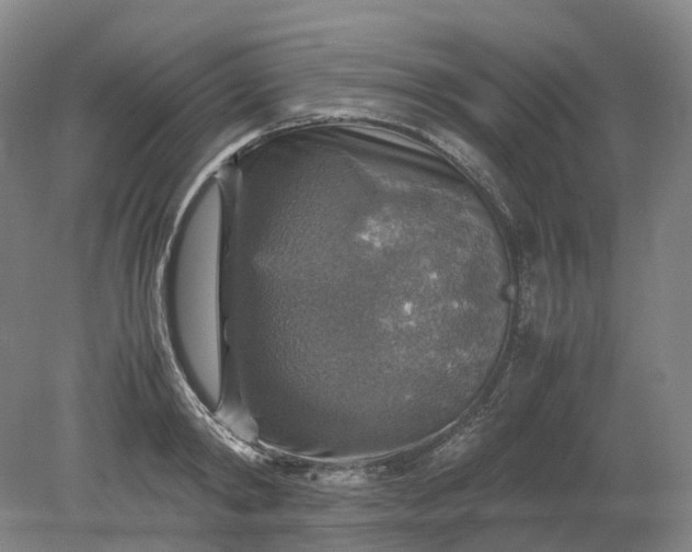 X0000079280798200612011657