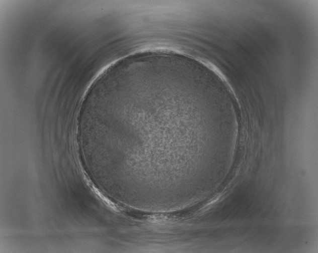 X0000079280799200612011657