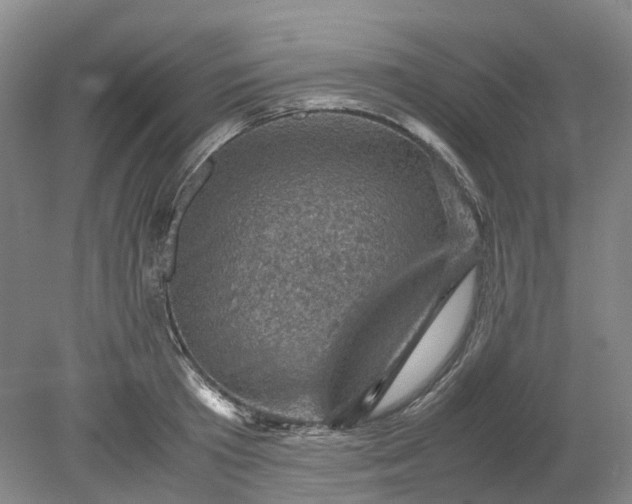 X0000079280801200612011657