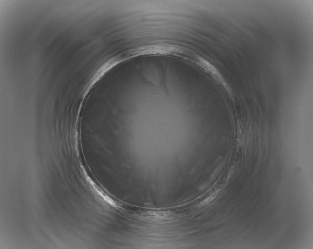 X0000079280802200612011657