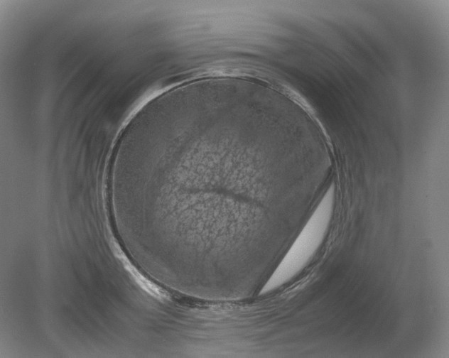 X0000079280803200612011656