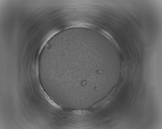 X0000079280804200612011656