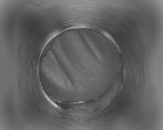 X0000079280805200612011656