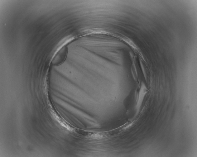 X0000079280806200612011656