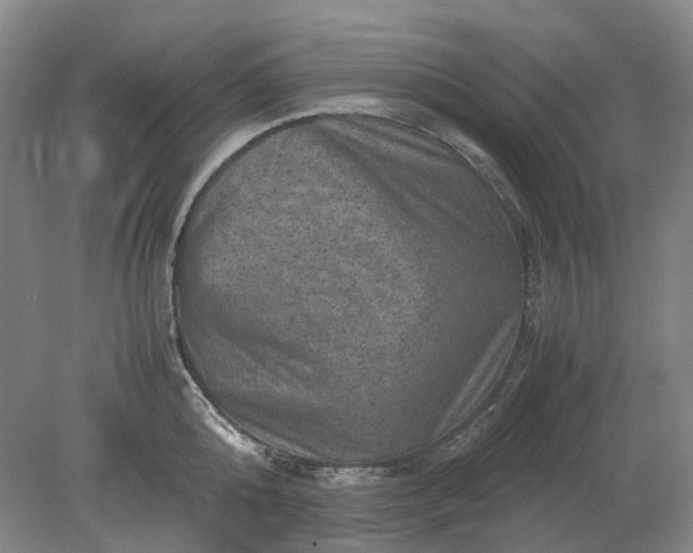 X0000079280808200612011656