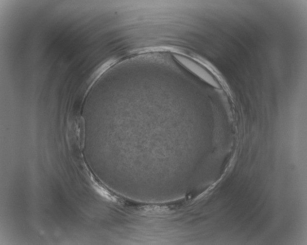 X0000079280809200612011656