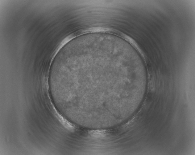 X0000079280810200612011656