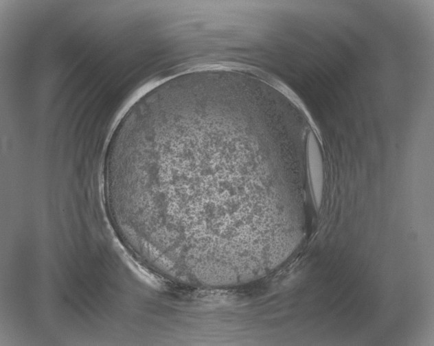 X0000079280811200612011656