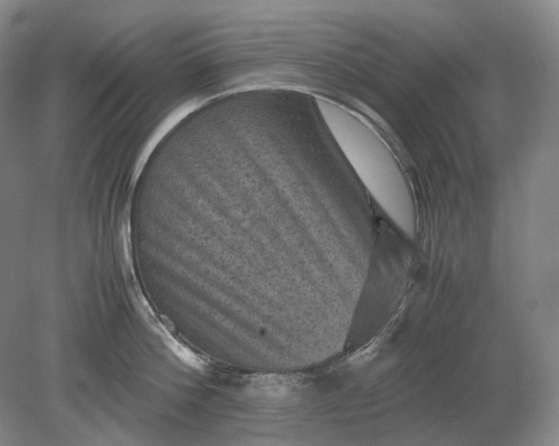 X0000079280812200612011656