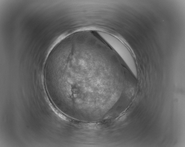 X0000079280813200612011656