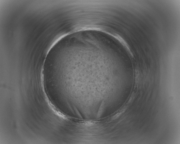 X0000079280814200612011656