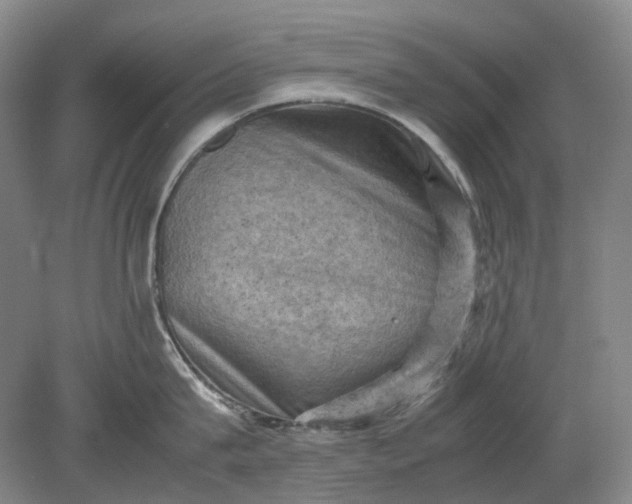 X0000079280815200612011656