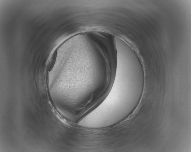 X0000079280816200612011656