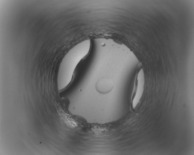 X0000079280818200612011655