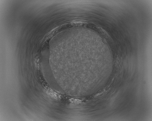 X0000079280821200612011656