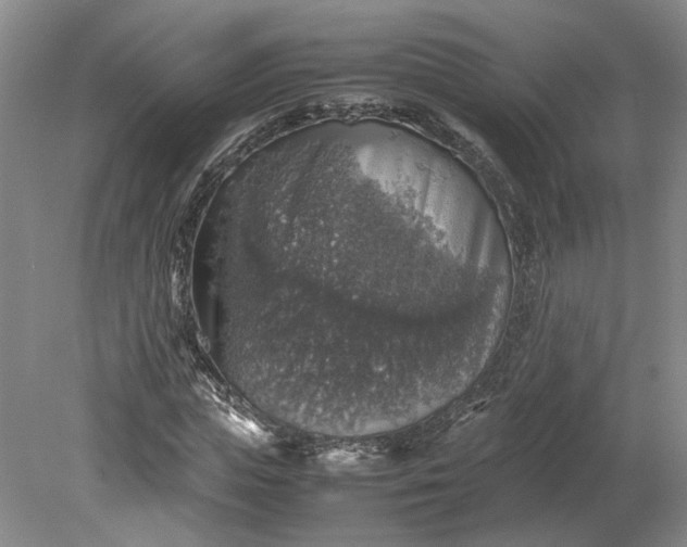 X0000079280823200612011656