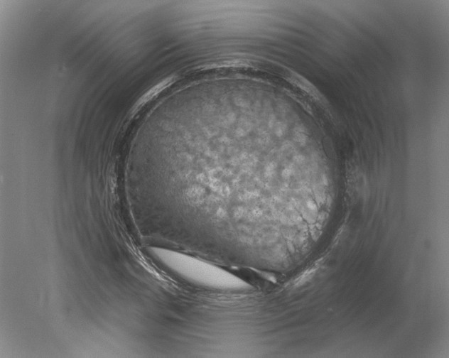 X0000079280826200612011656