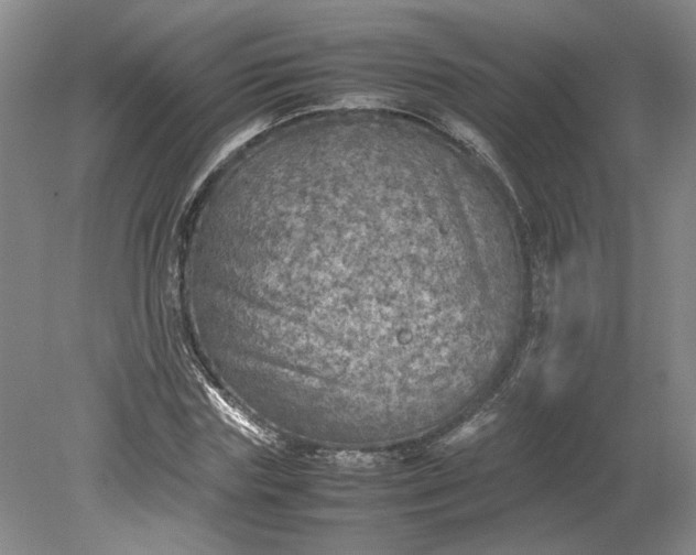 X0000079280827200612011656