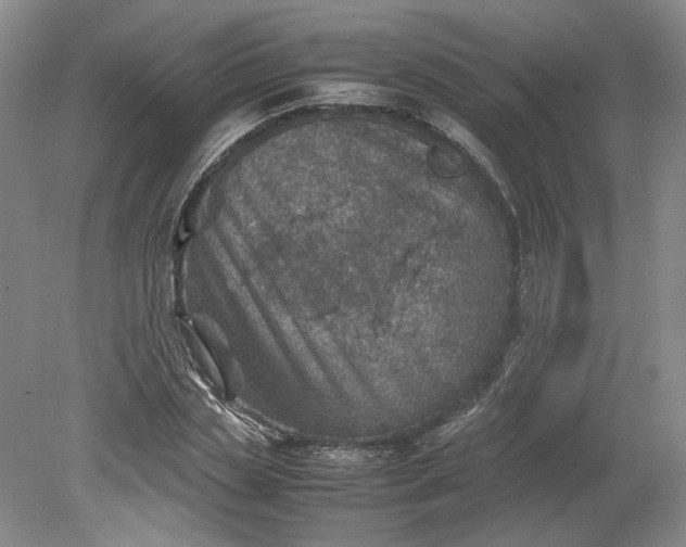 X0000079280829200612011656