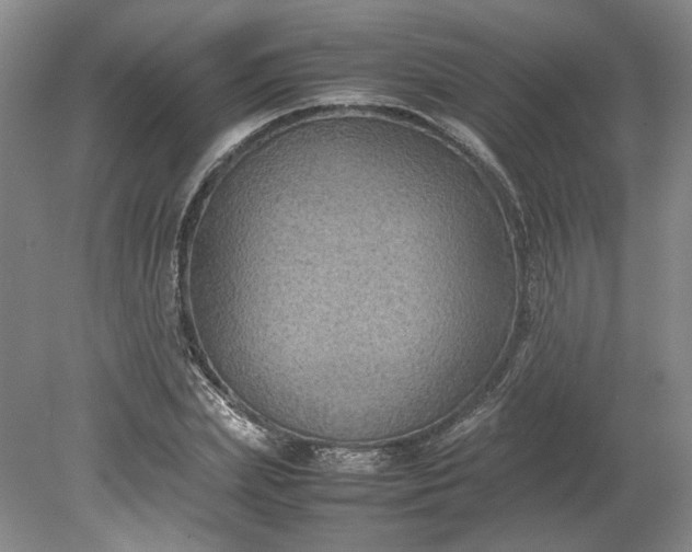 X0000079280831200612011656