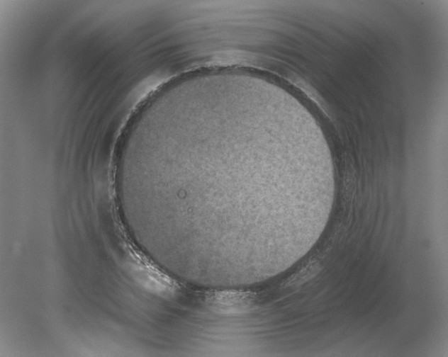 X0000079280832200612011656