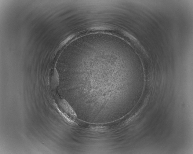 X0000079280833200612011656