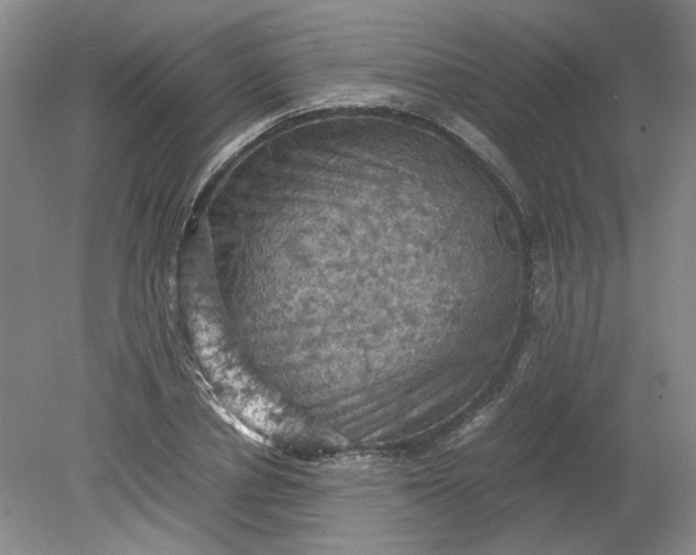 X0000079280834200612011656