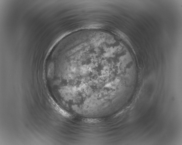 X0000079280835200612011656