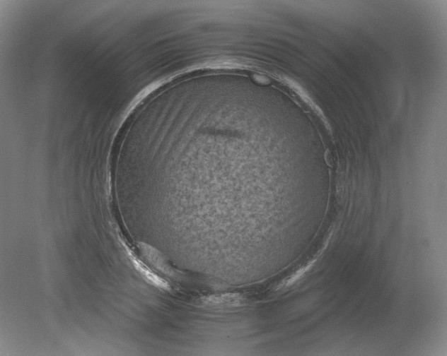 X0000079280837200612011656