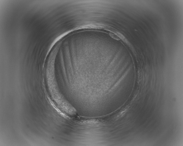 X0000079280838200612011656