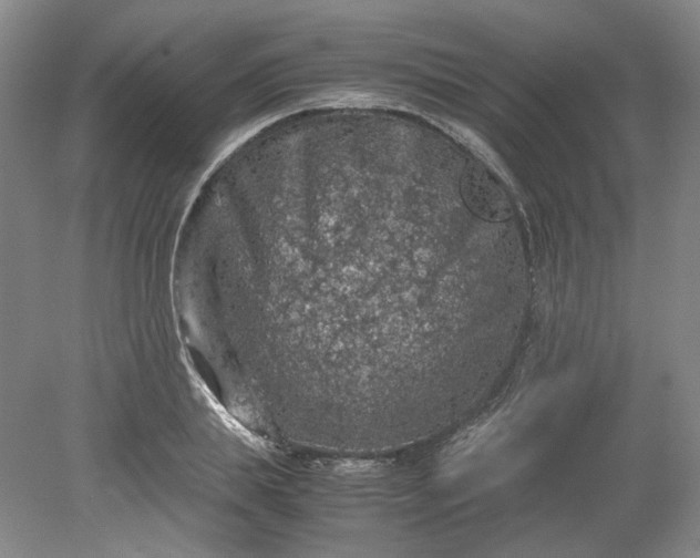 X0000079280839200612011656