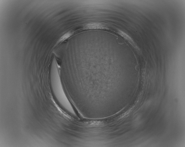 X0000079280841200612011656