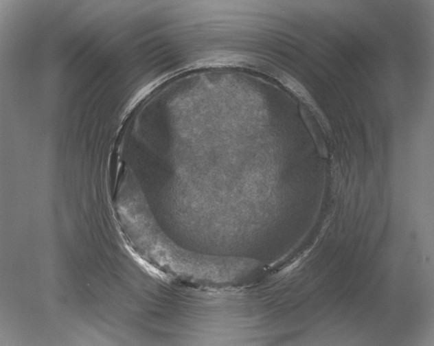 X0000079280842200612011656