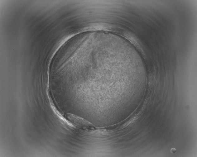 X0000079280844200612011656