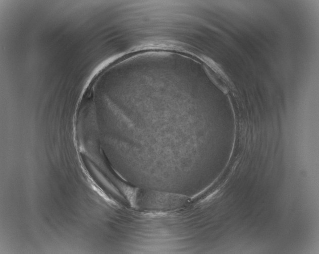 X0000079280846200612011656