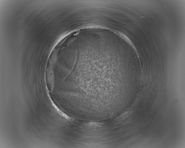 X0000079280847200612011656