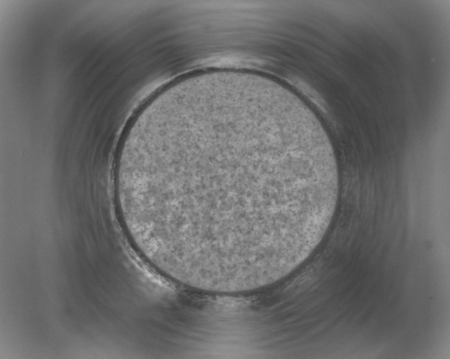 X0000079280848200612011656