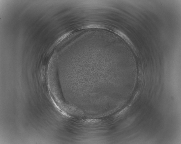 X0000079280849200612011656